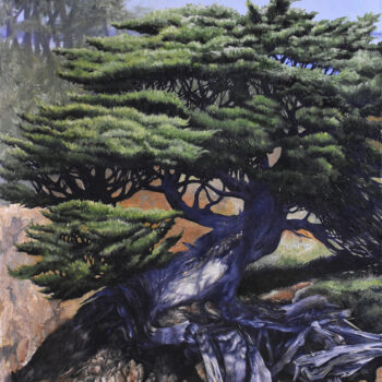 Cypress Tree at Point Lobos, 30″x40″